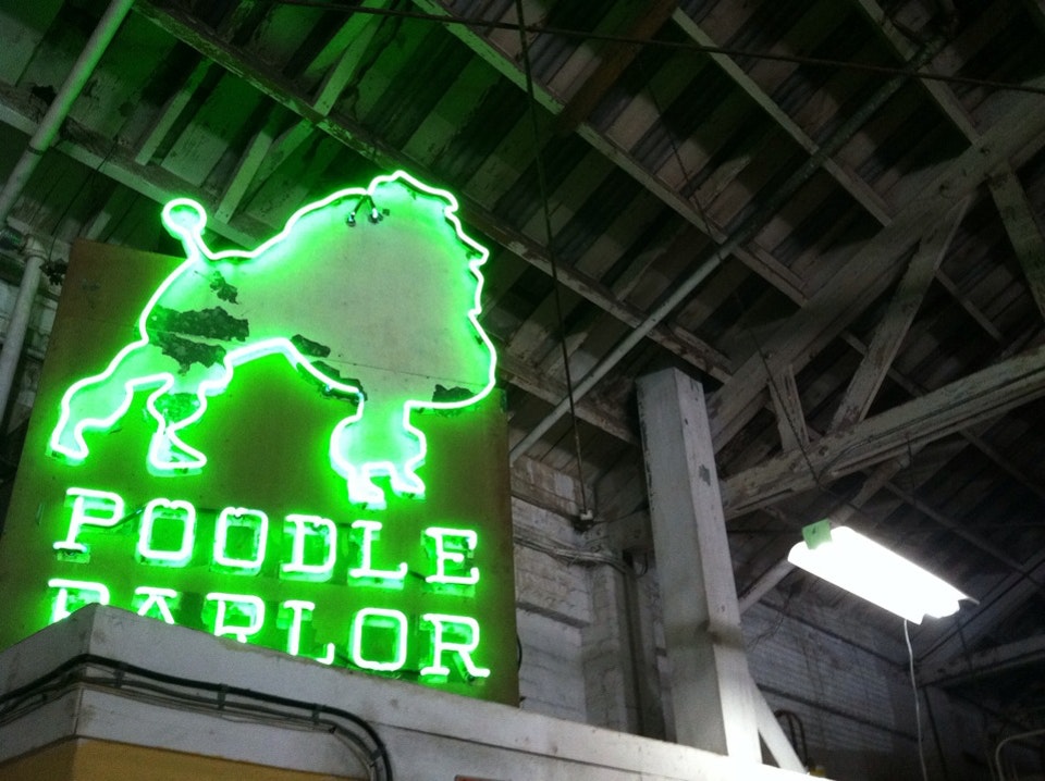 poodleparlor